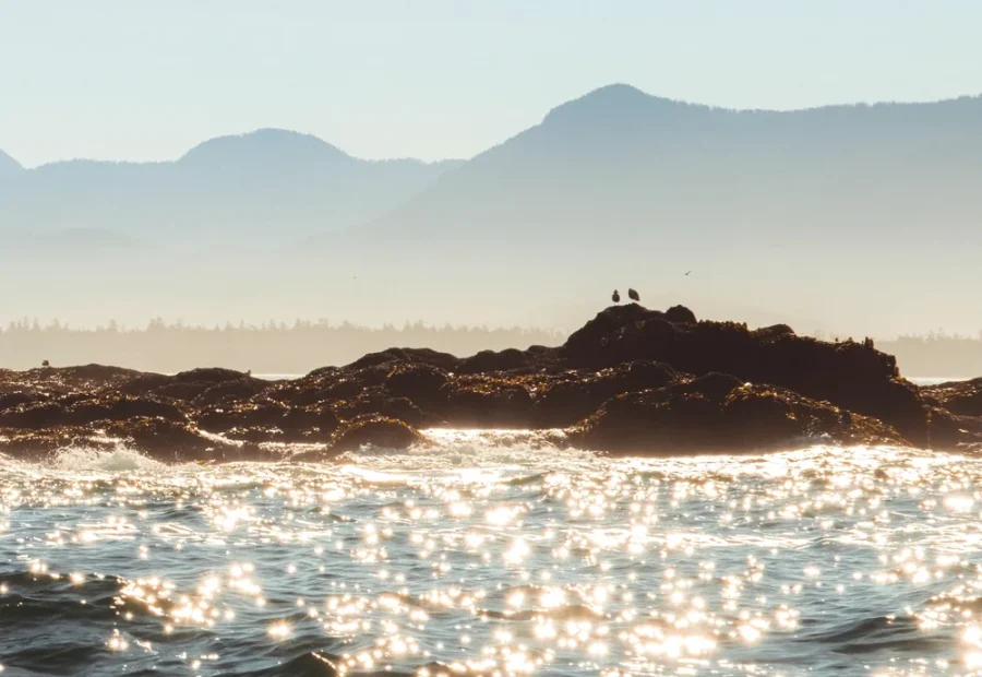 Pacific swell catching light off the Tofino coast