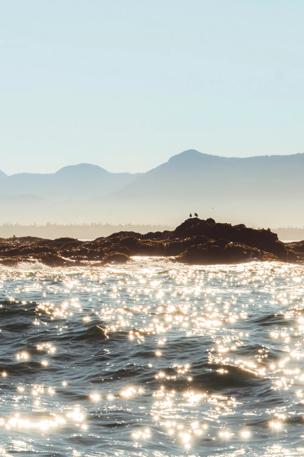 Pacific swell catching light off the Tofino coast